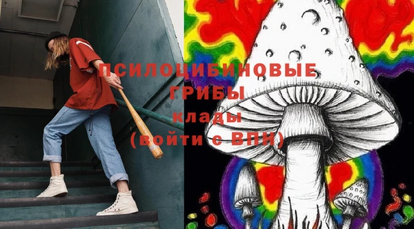 шишки Алексин