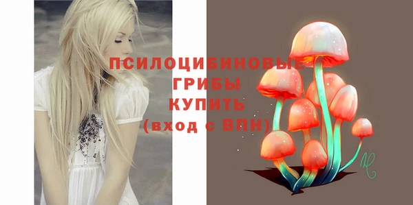 шишки Алексин