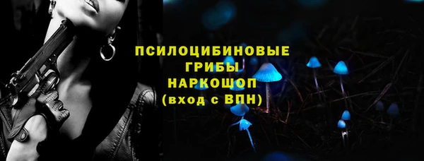 шишки Алексин